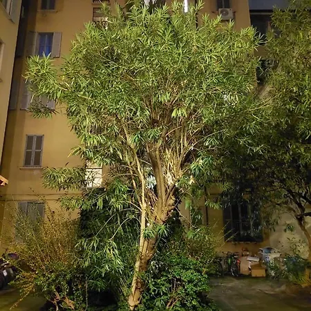 Donatello Affittacamere Milano